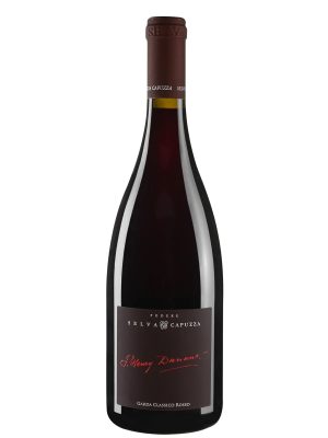 A bottle of Selva Capuzza DUNANT Riviera del Garda Classico DOC 2020 red wine with a dark label and red foil on the neck, standing upright against a white background.